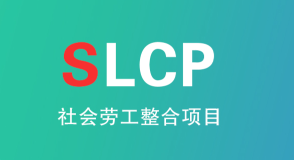 SLCP验证的8个步骤